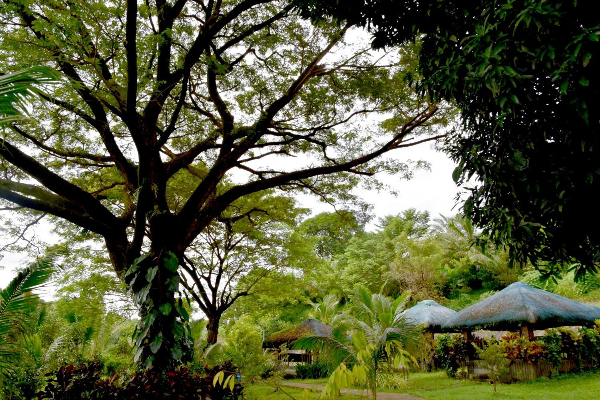 Isla De Oro Hotel Mamburao Exteriör bild